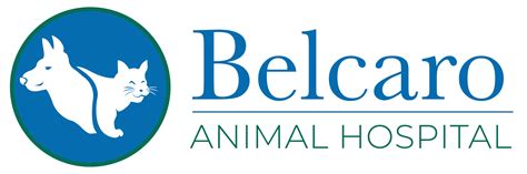 Belcaro animal hospital - Belcaro Animal Hospital P.C., Denver, Colorado. 530 likes · 582 were here. Serving Denver pets since 1947